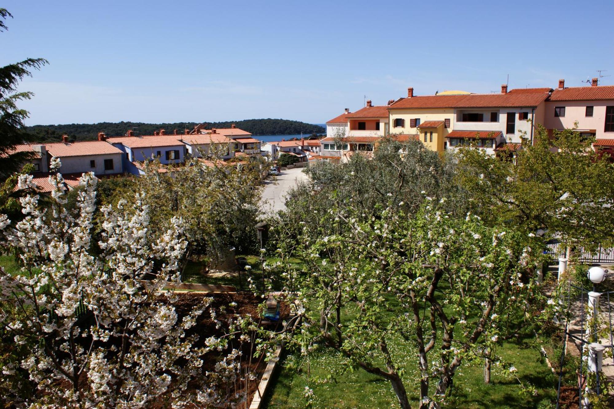 Apartments Cezar Vinkuran Esterno foto